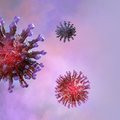 Число инфицированных коронавирусом в мире превысило 206 тысяч человек