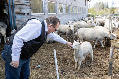 Aivari pere põhitegevus on mahepõllundus ja loomakasvatus, näiteks lambaid on koos noorloomadega 650.