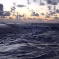 Omavoliline eksperiment: ärimees kallas laevatäie rauda Vaiksesse ookeani