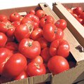 Rootsi kiiksud: 2,5 kilogrammi värsket tomatit 5500 krooni eest