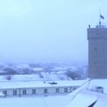VIDEO | Eesti lipu heiskamine Pika Hermanni tornis