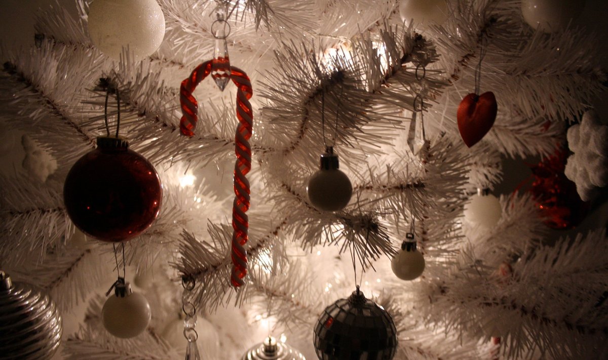 Fotovõistlus “Pühad minu kodus”: Jõulumeeleolu valge ja punasega