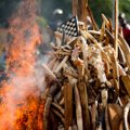 FOTOD: Kamerunis ja Keenias põletati üle 100 tonni elevandiluud