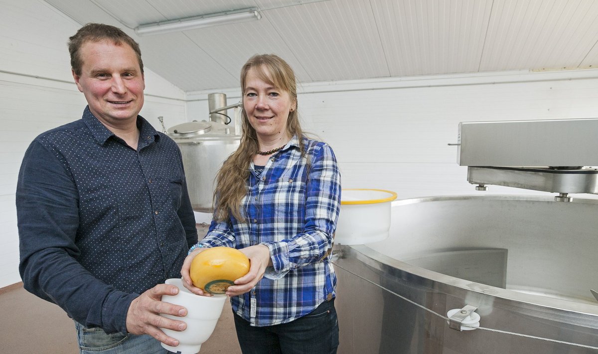 Aivar Alviste ja Erika Pääbus loodavad juustukojast suvel esimese juustu saada.