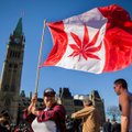 В Канаде легализовано употребление марихуаны