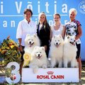 VIDEO | Mainekas koeranäitus toob sel nädalavahetusel Eestisse haruldased koeratõud
