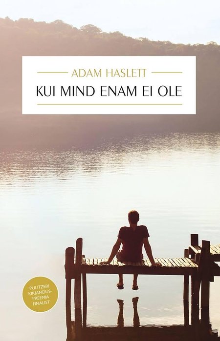 Adam Haslett „Kui mind enam ei ole“. Tõlkinud Pille Kruus. Päikese kirjastus, 2016 352 lk.
