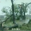 Taifuun Bolaven tappis Põhja-Koreas 48 inimest