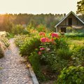 В Хааберсти ищут самый красивый домашний сад