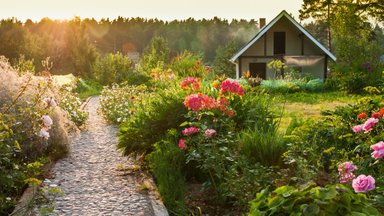 В Хааберсти ищут самый красивый домашний сад