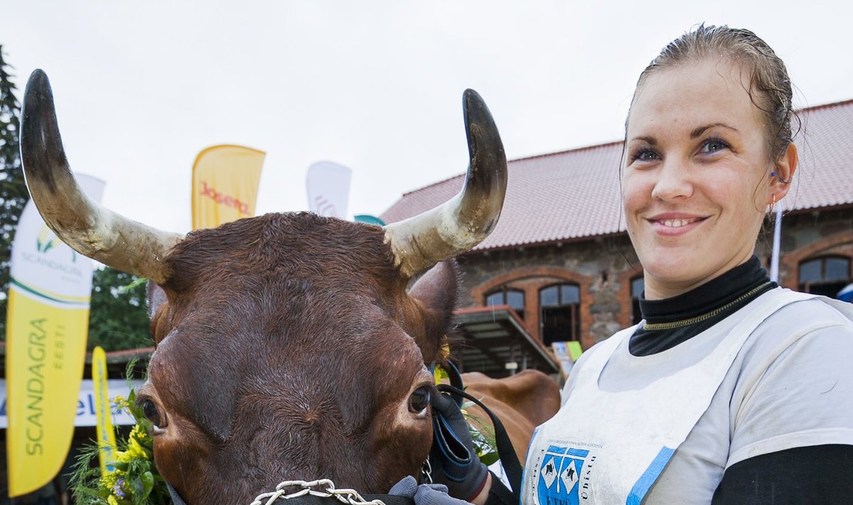 Muda (esitleja Eda Lukk) sai oma viimase tunnustuse, kui valiti 2014. aasta kauneimaks punast tõugu lehmaks. Nüüdseks on tema viimane lüps antud.