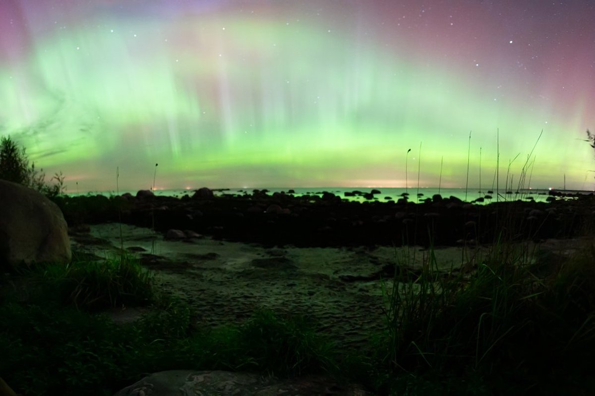 Anul viitor ar putea fi cel mai bun an pentru a vedea aurora boreală din ultimii 20 de ani