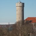 Eesti taasiseseisvumispäeval saab külastada Pika Hermanni torni