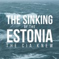 Новая книга: как агент ЦРУ расследовал крушение парома "Эстония"