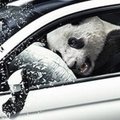 FIAT avaldas Panda 4x4 fotod
