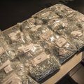 Eesti kodanik jäi Norras vahele 210 kilogrammi uimastiga