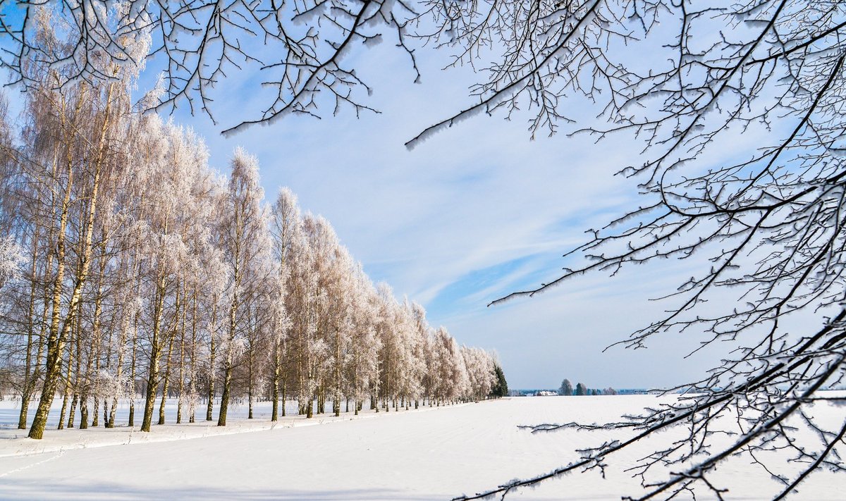 Talvine loodus Viljandimaal