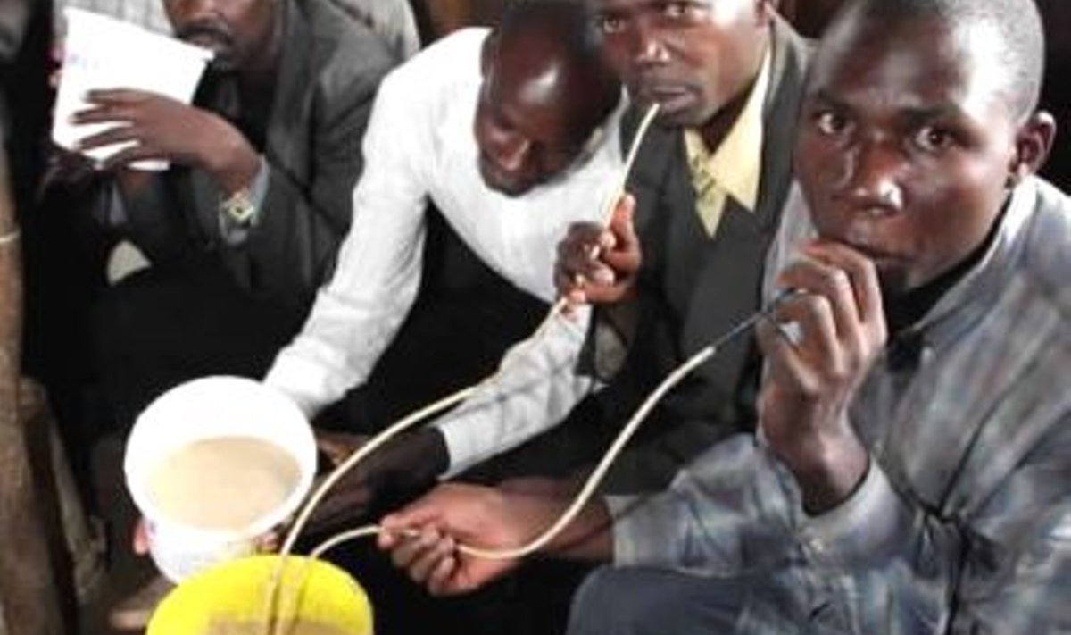 Keenia neegrid joovad kohalikku salaviina