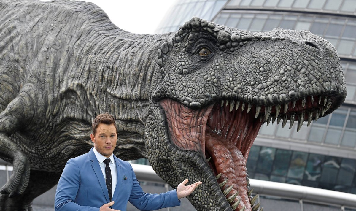 Jurassic Worldi näitleja Chris Pratt ja dinosauruse mulaaž. 
