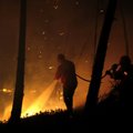Portugal palus Euroopa Liidu abi metsapõlengutega võitlemiseks