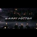 VIDEO: Ideaalne sari? Kokku saavad "Harry Potter" ja "Sõbrad"