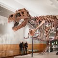 Tyranno­saurus rex : noorena looduse kroon, vananedes põdur invaliid