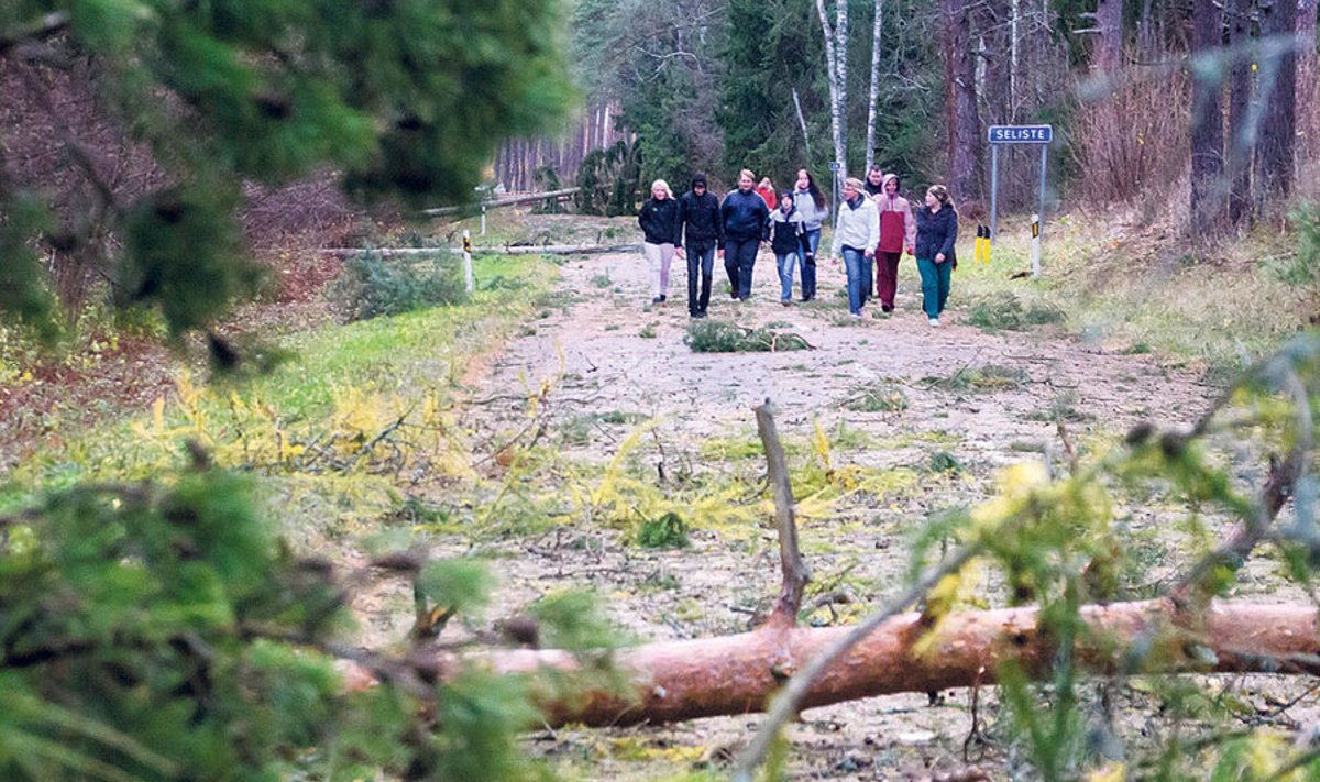 Tõstamaa kooli õpilastel tuli puu taha pidama jäänud bussist maha tulla ja jalgsi edasi kõndida.