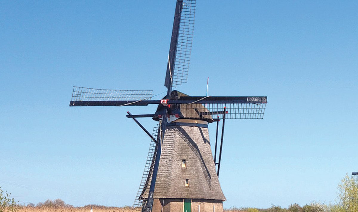 Hollandis Kinderdijki külas  on säilinud 19 tuulikut,  mis ehitati 1740ndate paiku,  et poldrit kuivendada.  Tuulikud kuuluvad UNESCO  maailmapärandi nimistusse.