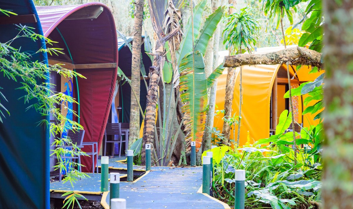 Austraalia hostel Byron Bay's