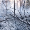 PÄÄSTEAMET HOIATAB: Eesti metsad on väga tuleohtlikud!