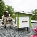 FOTOD | Eesti parima hotelli katusele kolis 100 000 mesilast