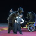 Минсельхоз Эстонии готов запретить использование животных в бродячих цирках