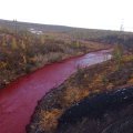 ŠOKEERIV FOTO: Siberis muutus jõevesi veripunaseks