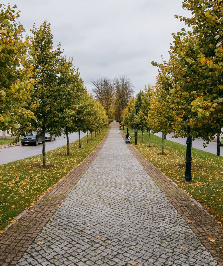 Katariina allee ja Kreutzwaldi kuju.