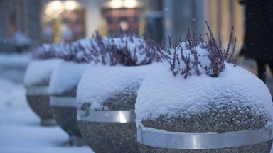 ILMATEADE | Uuel nädalal sajab hoovihma, sekka ka lörtsi