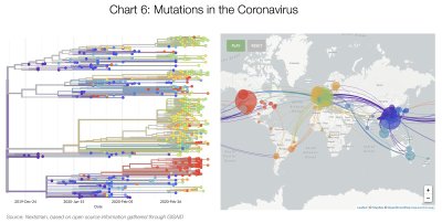 GRAAFIK 6: Koroonaviiruse mutatsioonid ja nende levik üle maailma.