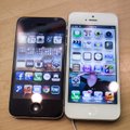 Раскрыто неожиданное преимущество белых iPhone перед черными