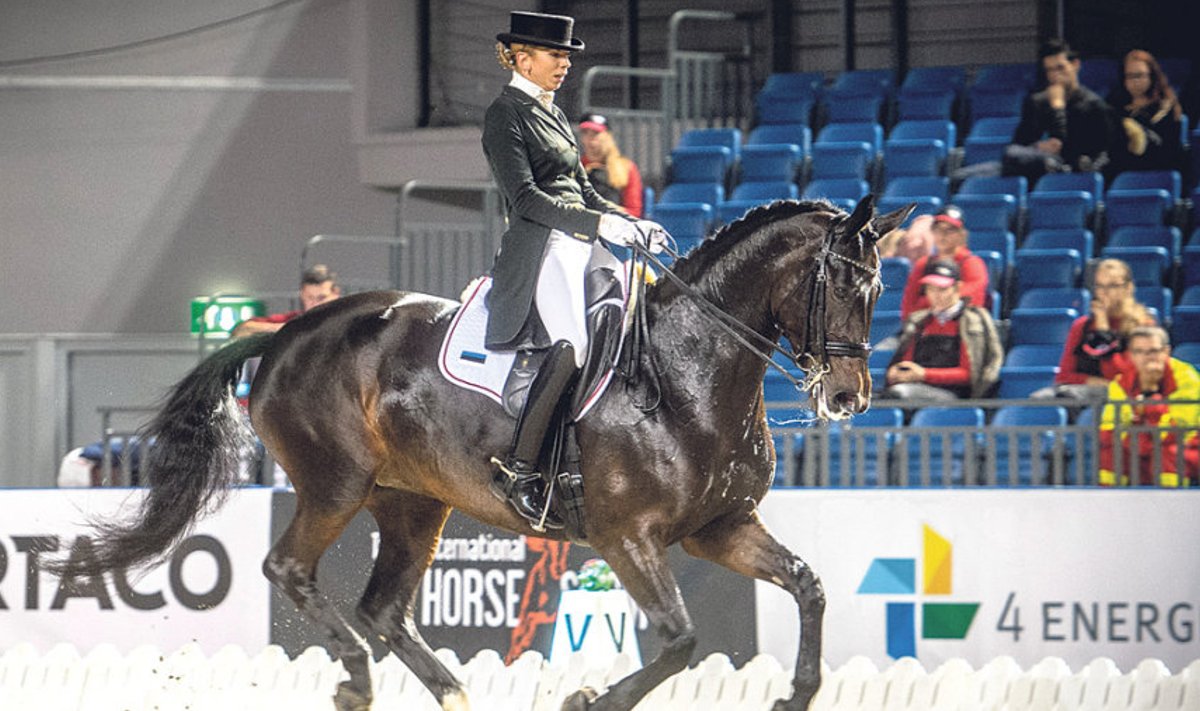 Dina Ellerman  ja Landy’s Akvarel saavutasid  3.−5. oktoobrini peetud Tallinn  International  Horse Show’l  koolisõidu grand prix arvestustes  6. ja 4. koha.  Paremini õnnestus neil muusikaline  vabakava ehk KÜR.