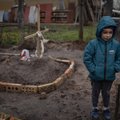 МНЕНИЕ | Как я встретил в Таллинне войну