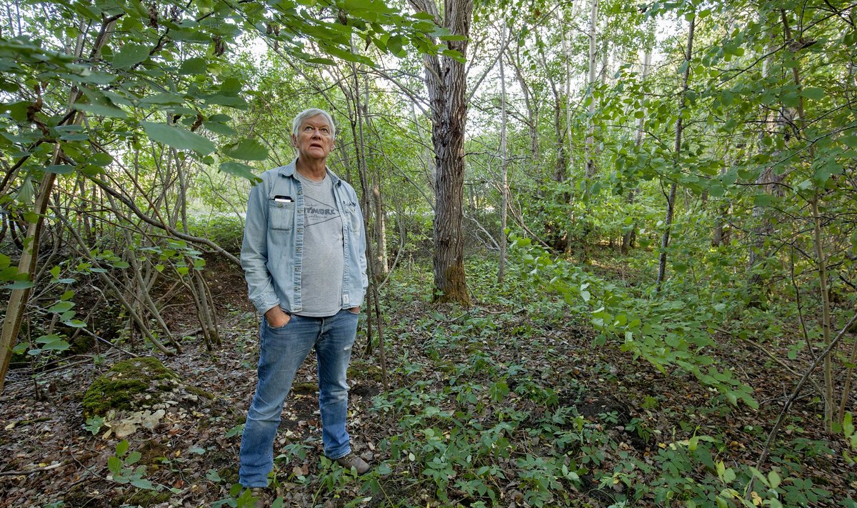 Mart Erik ütleb, et metsa, sh käest lastud metsa, on Eestimaal palju. Ta leiab, et muidugi on iga omaniku enda asi, mida ta oma metsaga ette võtab, ent kui sellel ikka suurte massiividena mädaneda lasta, on see lõppkokkuvõttes ju meie ühine rikkus, mis nõnda hävib.