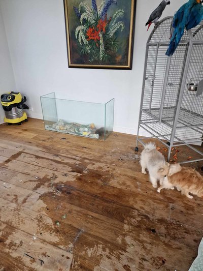 Jalami tänava koeravabrik