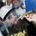 WikiLeaks раскрыл заговор алкогольного лобби против легальной марихуаны