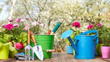 Maikuu aiatööd — millal on õige aeg erinevaid taimi külvata ja istutada?