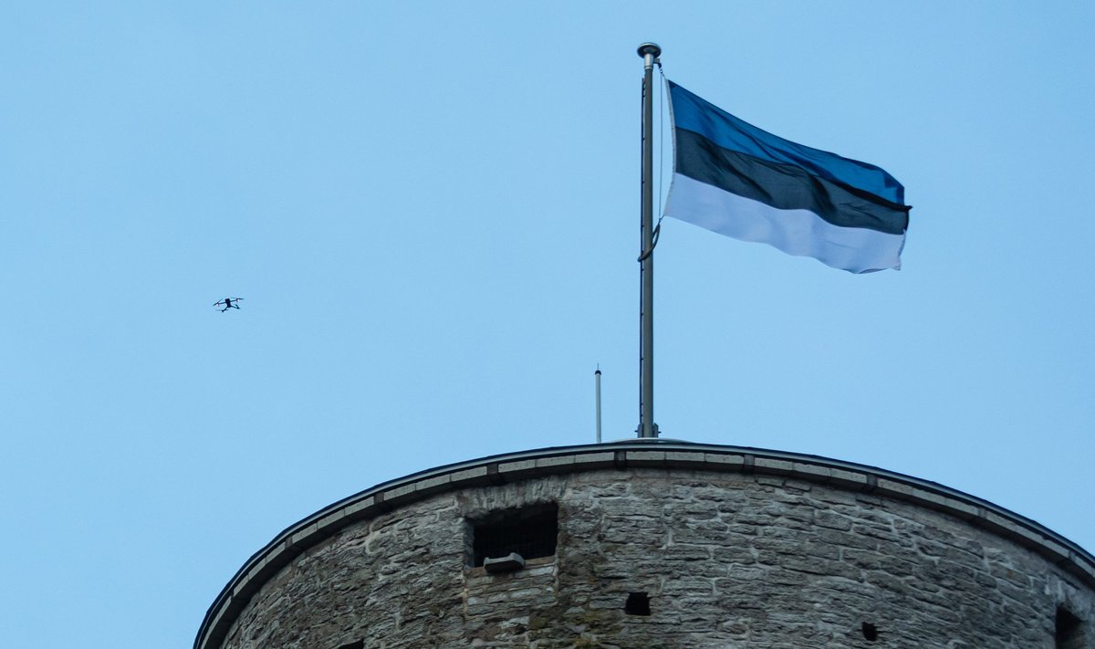 Nii näeb välja korrektselt esitletud Eesti vabariigi sümbol