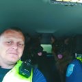 Позорный случай: на шоссе Таллинн - Нарва неизвестный бездушно избавился от двух собак