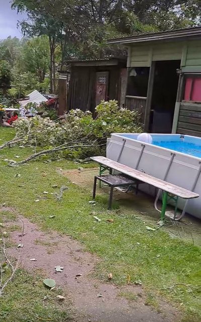 Karksis elav Maarika nautis parasjagu veemõnusid, kui äkki tõusis tugev torm ja kohe basseini kõrvale suured oksad lennutas.