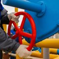 Euroopa otsib Vene gaasile head alternatiivi. On oht, et panustatakse taas vaid ühele kaardile