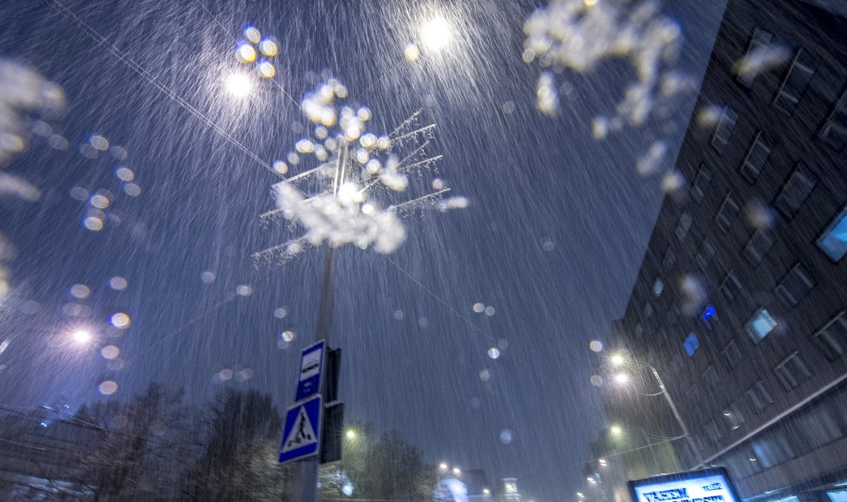 Õhtune lumesadu Tallinnas