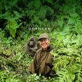 Armastatud saatejuht asub teleekraanil gorillasid päästma