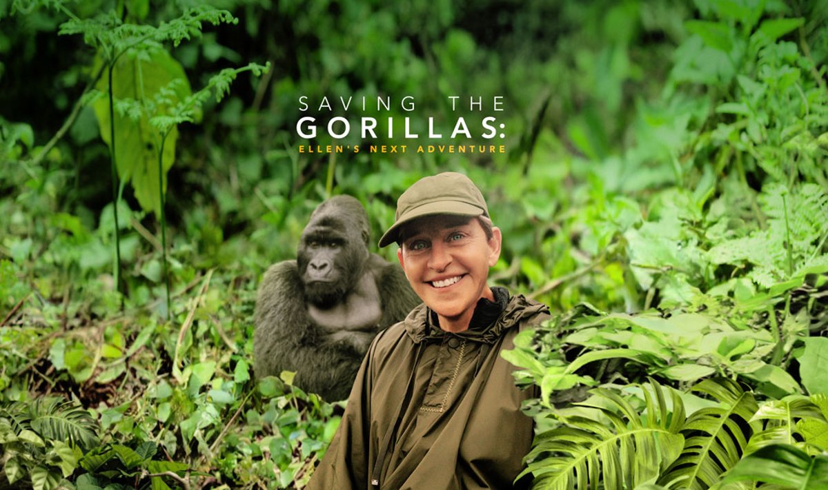 Gorillade päästmine: Elleni järgmine seiklus